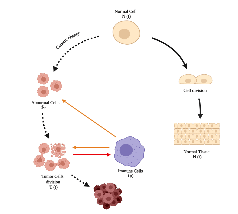 Model Interaction Diagram