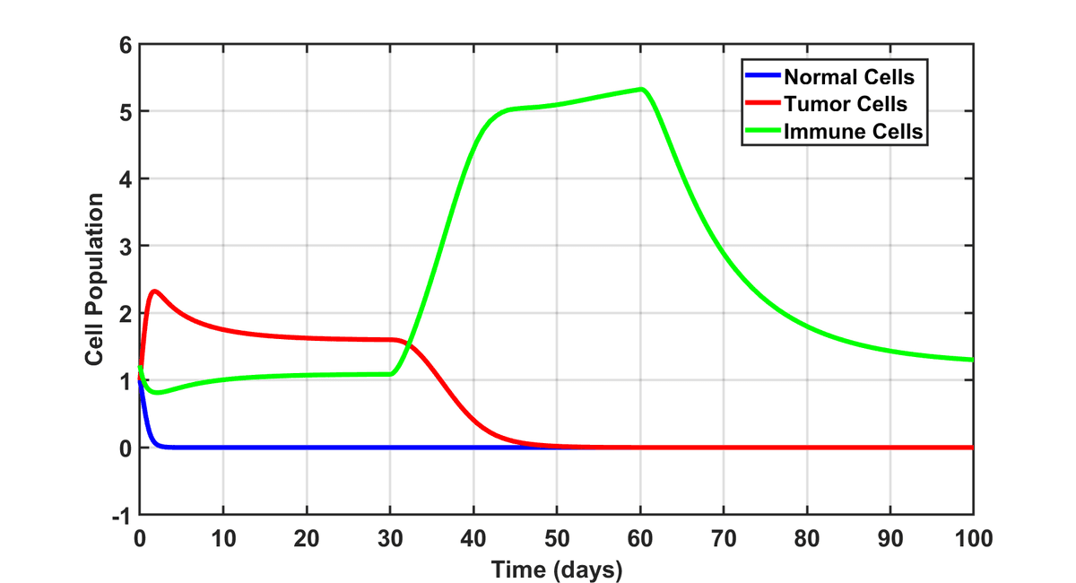 Modified model cell population dynamics